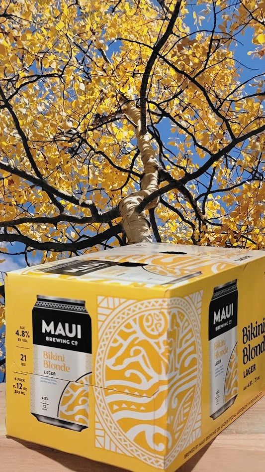 Maui brewing bikini blonde lager