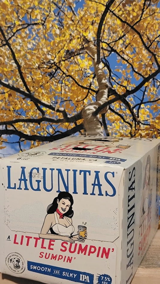 Lagunitas little sumpin ale