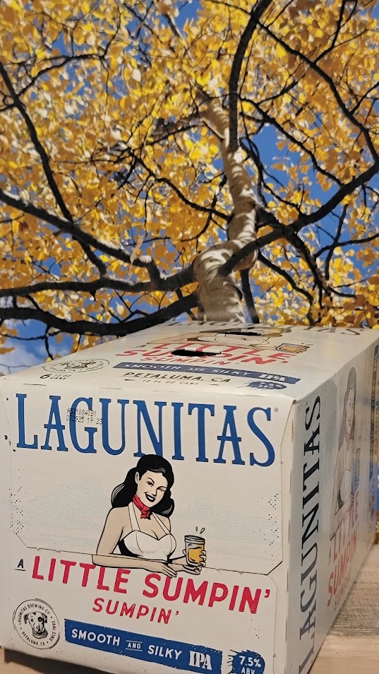 Lagunitas little sumpin ale