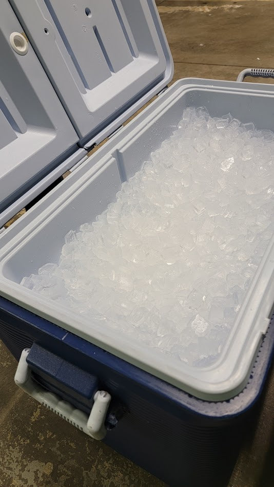 Cooler/70lb ice rental