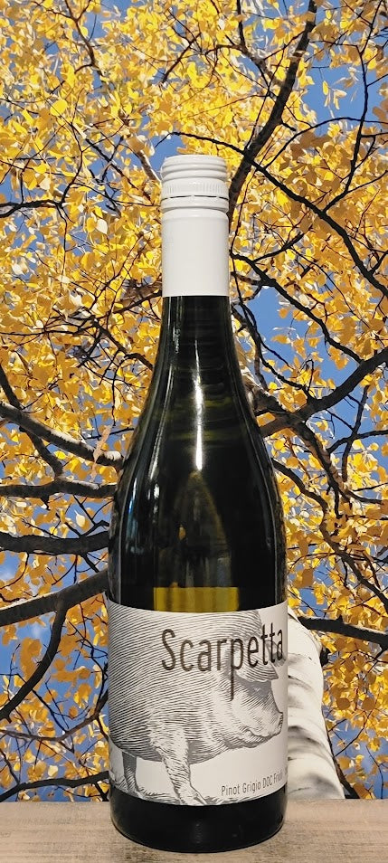 Scarpetta pinot grigio