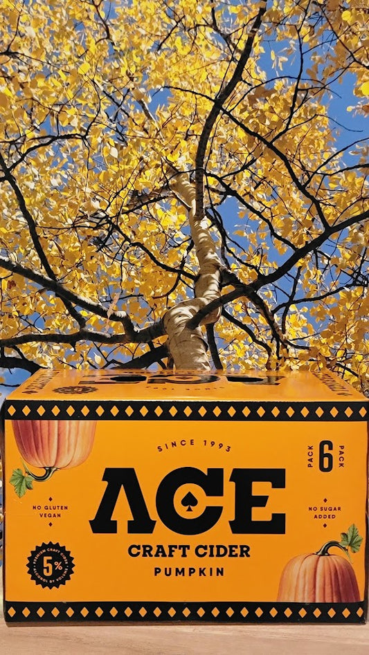 Ace pumpkin cider