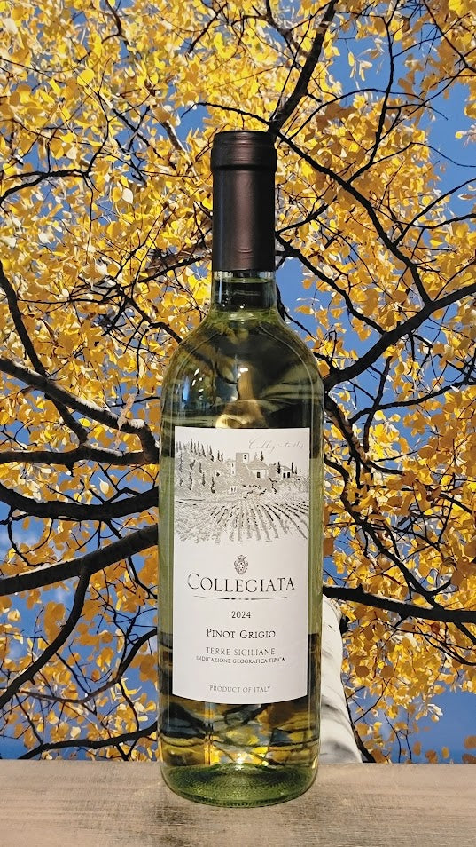 Collegiata pinot grigio