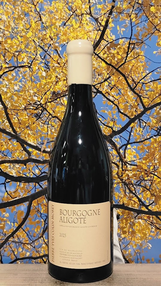 Pycm bourgogne aligote