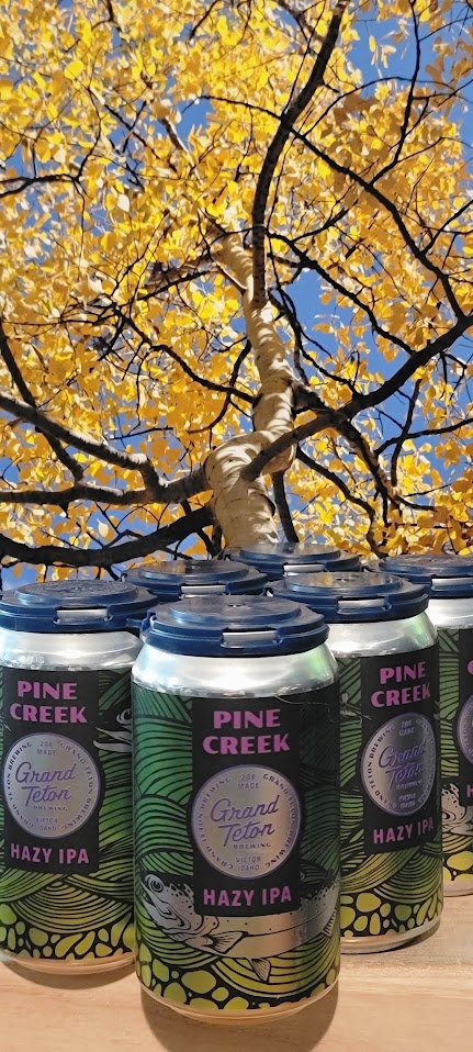 Grand teton tepee creek hazy ipa