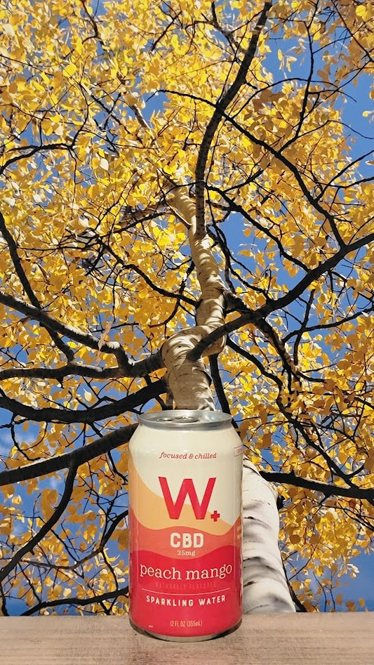 Weller + cbd peach mango sparkling water