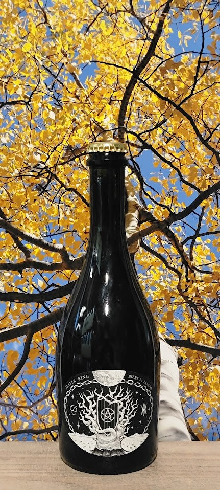 Jester king biere de lenoir barrel aged