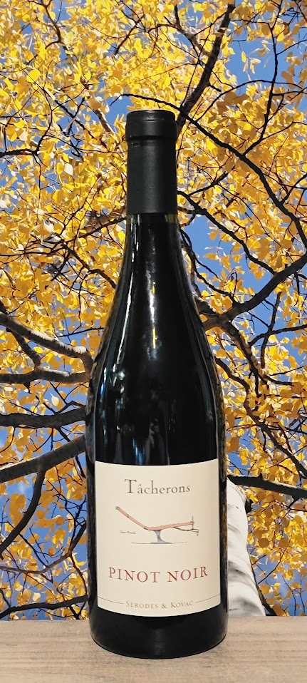 Tacherons pinot noir
