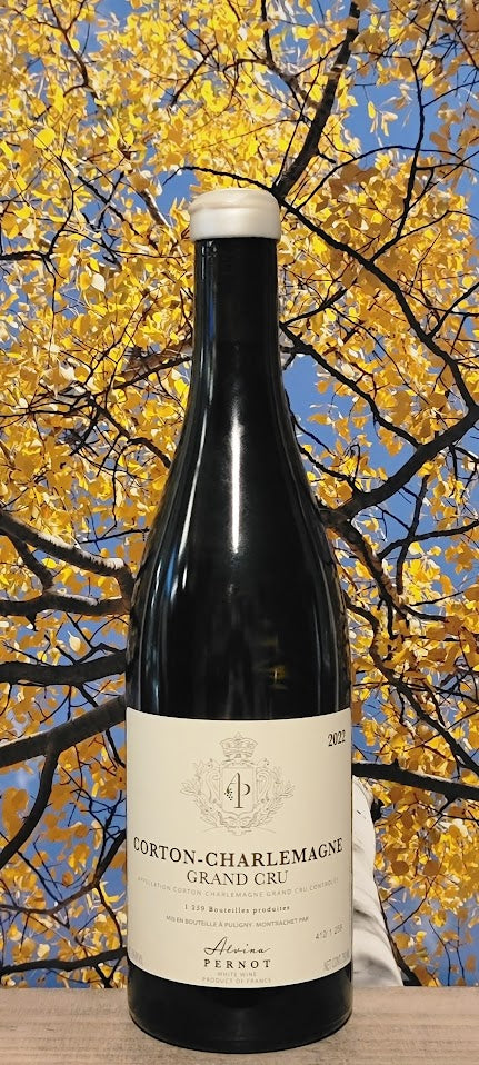 Alvina pernot corton-charlemagne grand cru