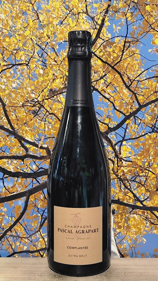 Pascal agrapart avize grand cru compantee extra brut champ