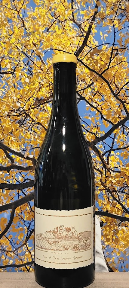 Ganevat jean francois savafnin montgerrand