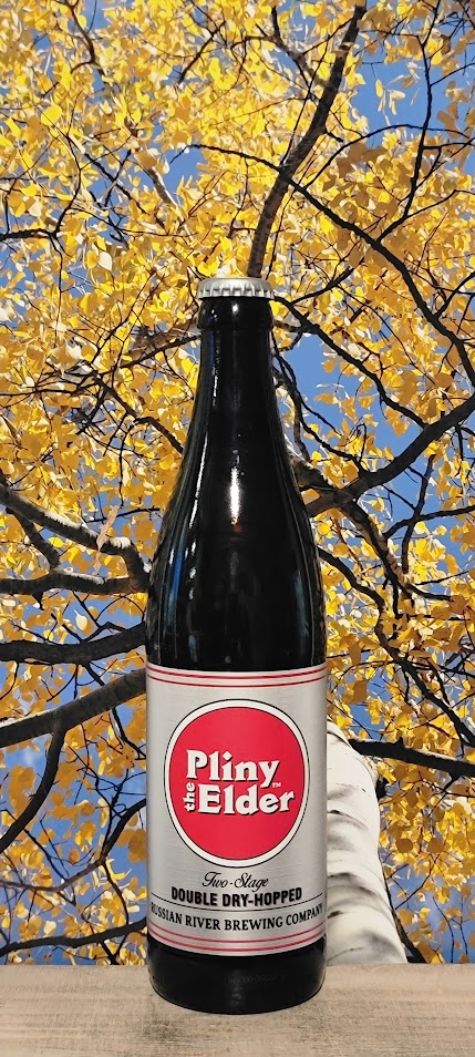 Russian river double dry-hopped ipa