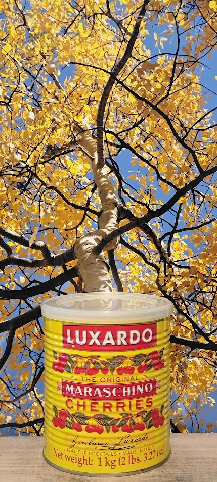 Luxardo marachino cherries
