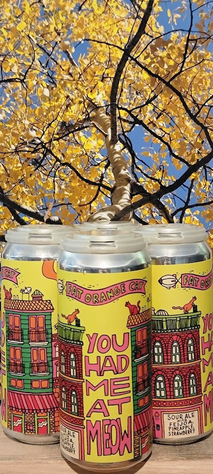 Fat orange you had me at meow feijoa,pineapplestrawberry sou