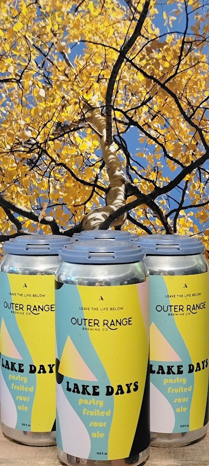 Outer range lake days pastry fruited sour ale