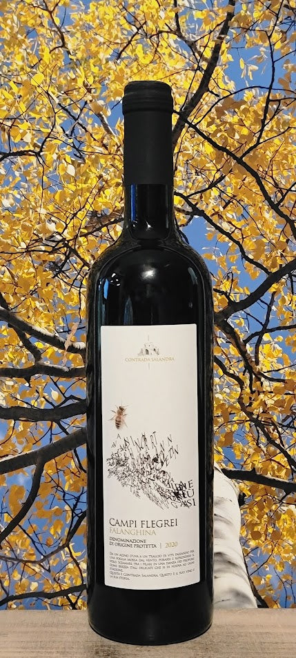 Contrada salandra falanghina