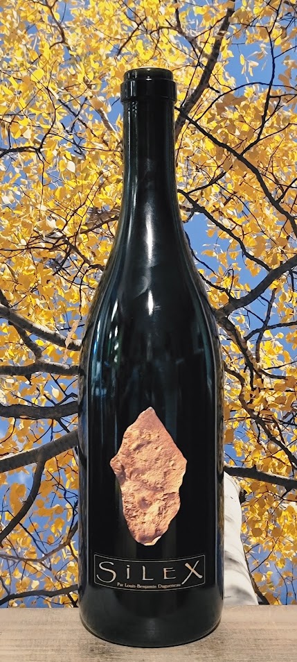 Domaine didier dagueneau silex