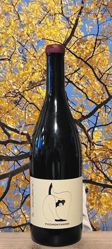 Ficomontanino mondeuse rosso