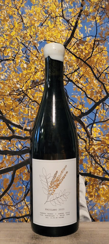 Cameron friulano clos elelectrique