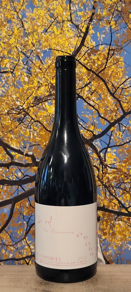 La mariota le vol des etourneaux