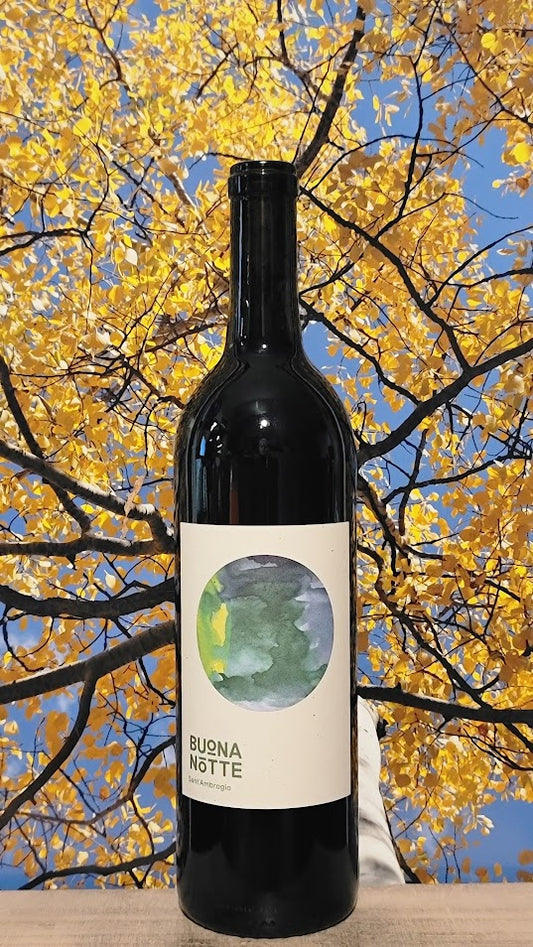 Buona notte sant'ambrogio