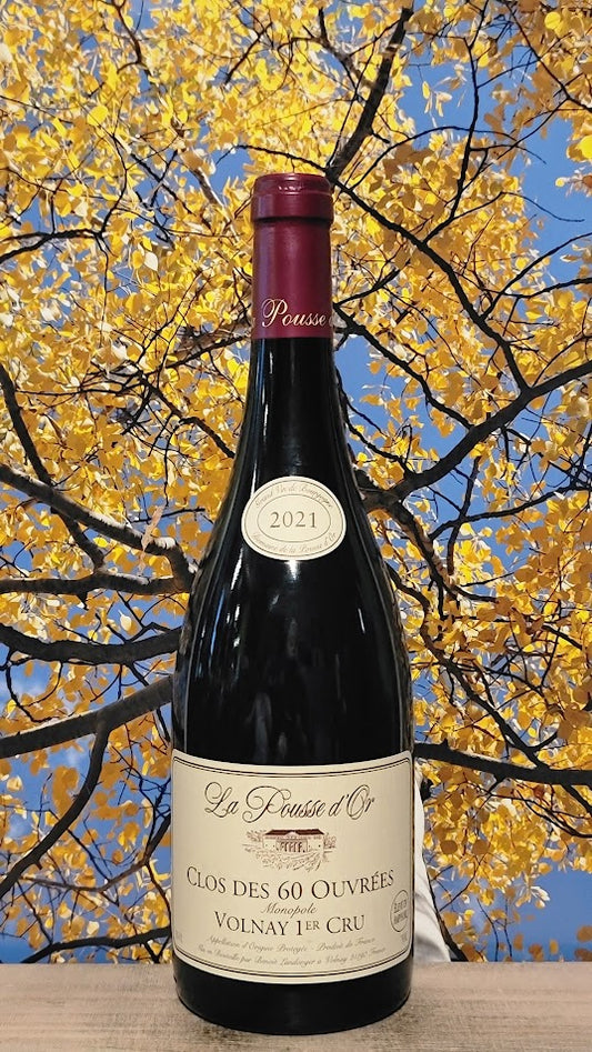La pousse 1cru d'or clos des 60 ouvrees monopole volnay