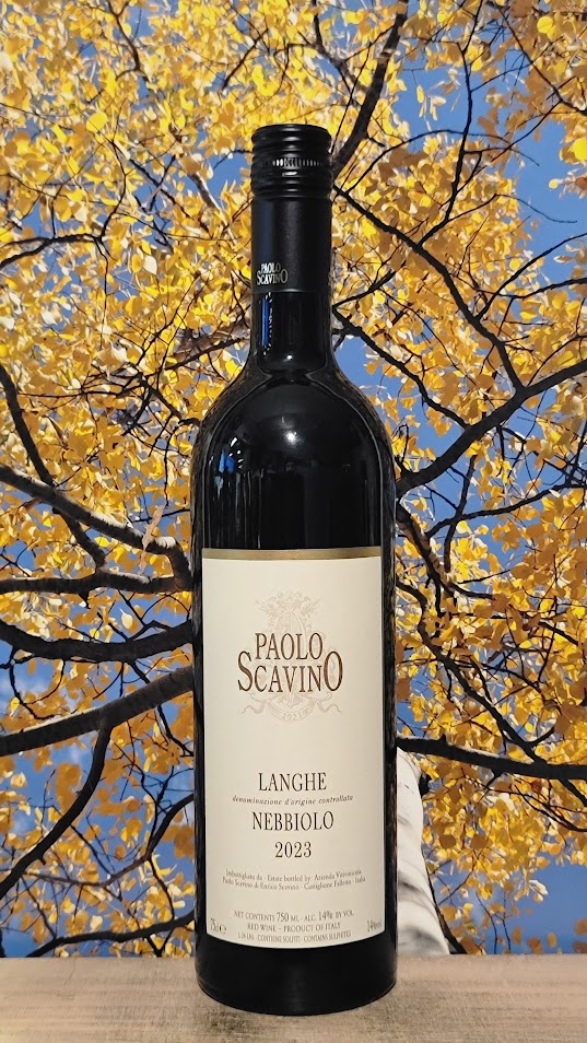Paolo scavino langhe nebbiolo