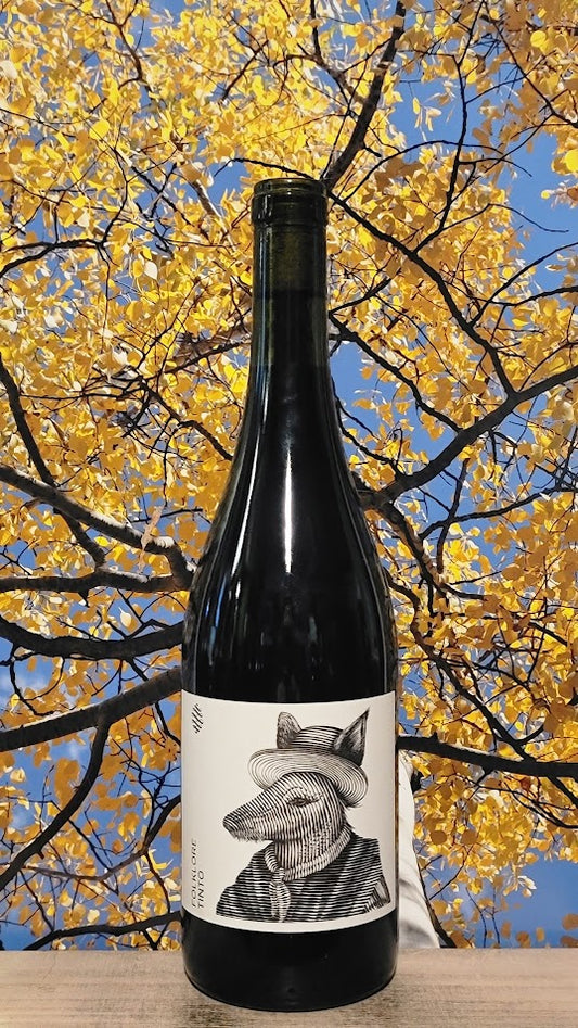 Bodega cerro chapeu 'castel pujol folklore' tinto