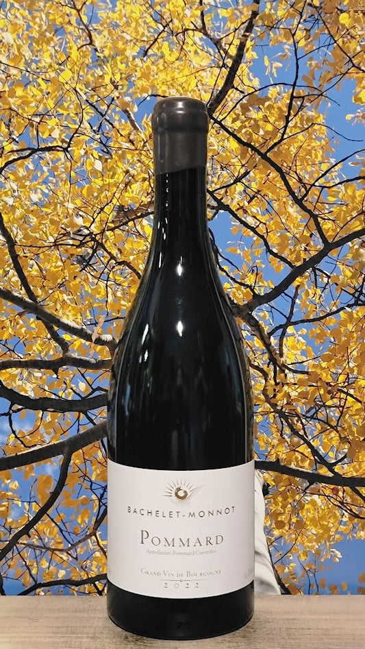 Bachelet-monnot pommard bourgogne