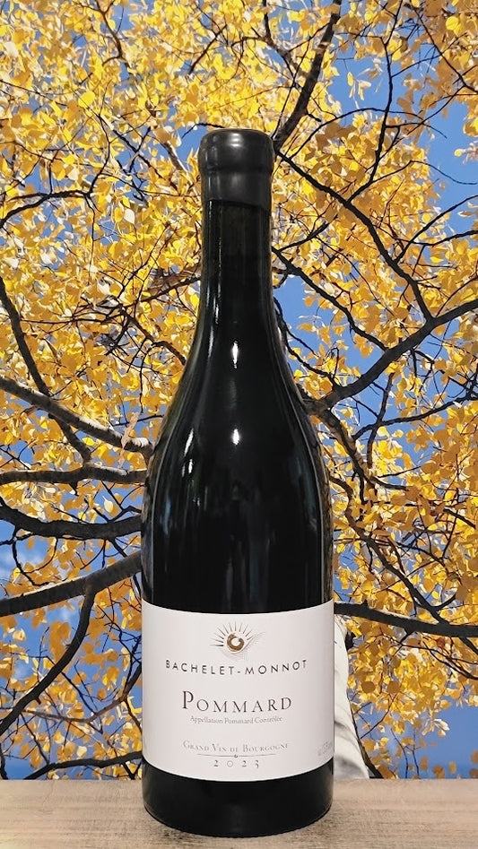 Bachelet-monnot pommard bourgogne