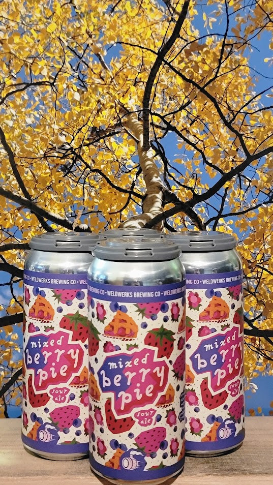 Weldwerks mixed berry pie sour ale