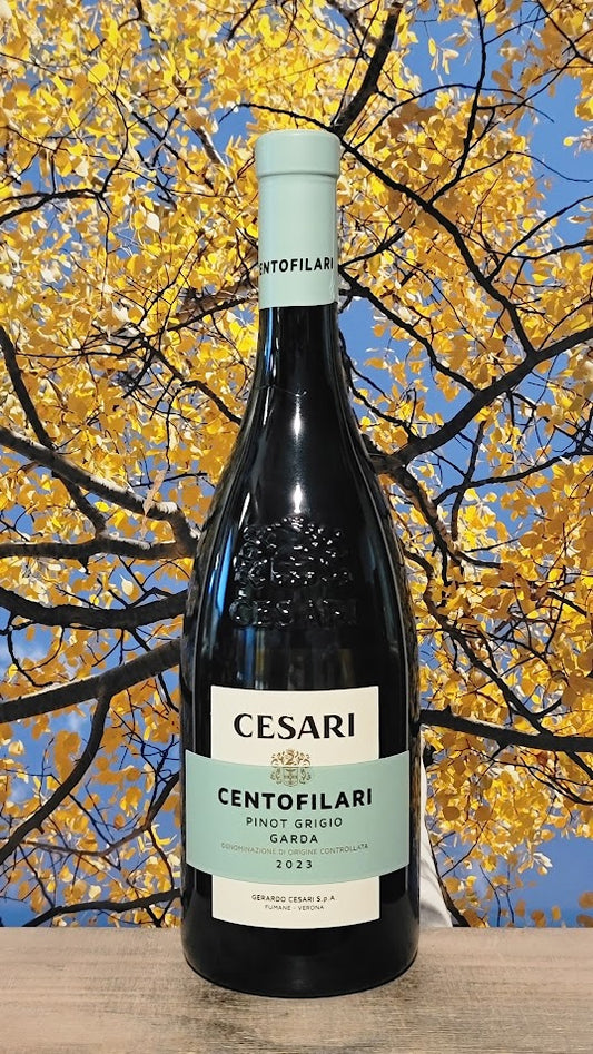 Cesari centofilari pinot grigio garda