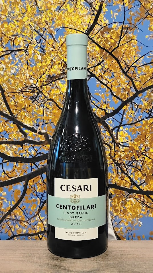 Cesari centofilari pinot grigio garda