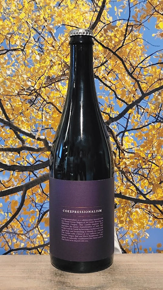 Side project/de garde coexpressionalism lambic rouge