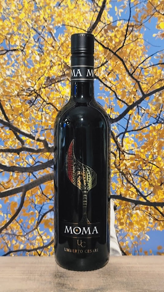 Umberto cesari moma red