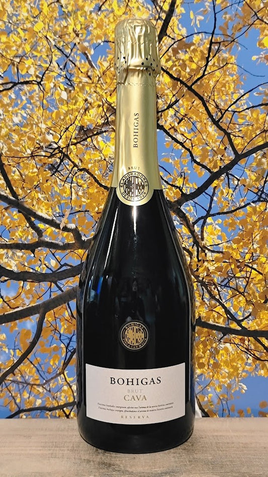 Fermi bohigas brut cava