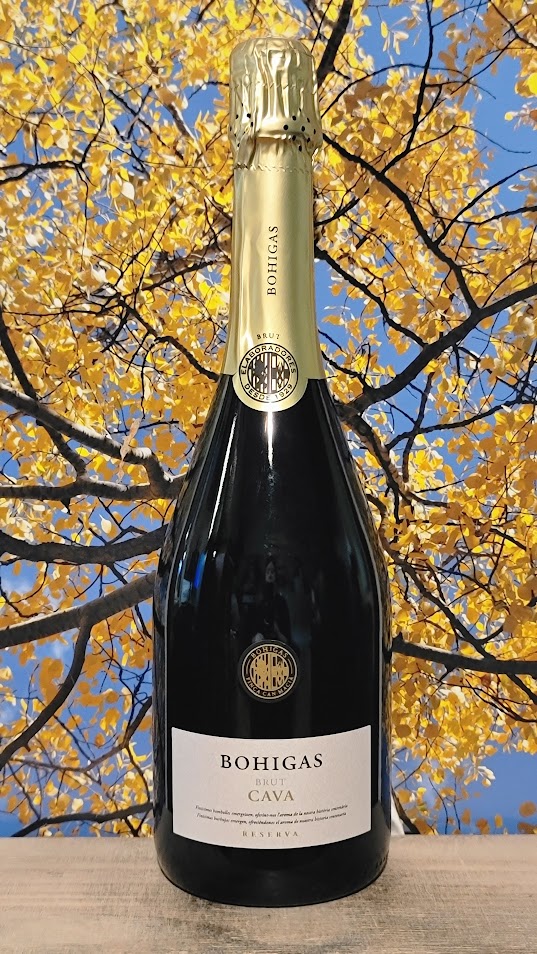 Fermi bohigas brut cava