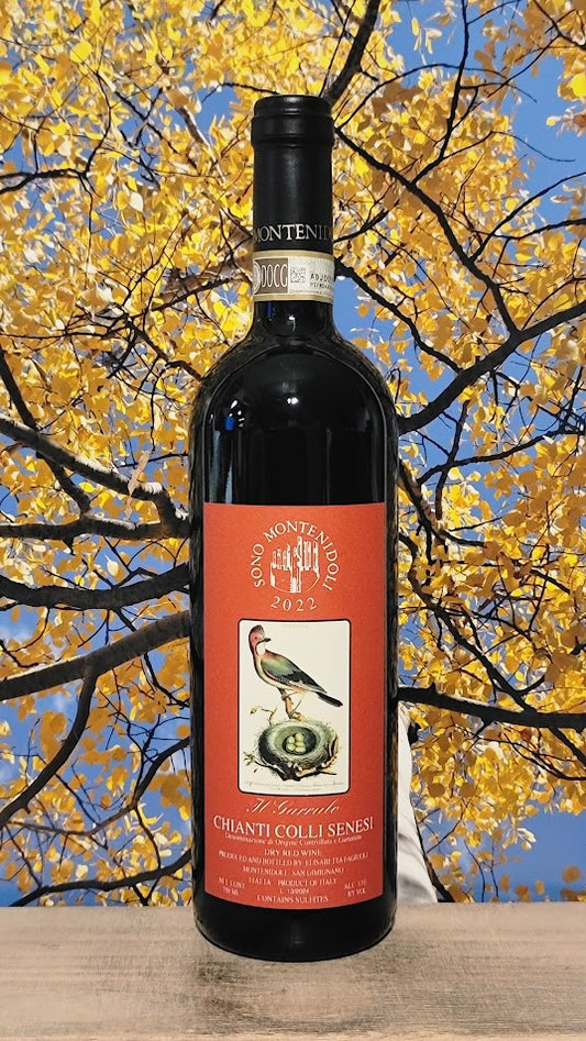 Sono montenidoli chianti colli senesi