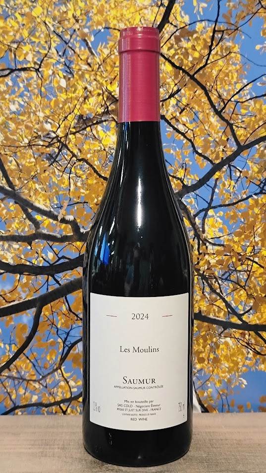 Chai de la dive saumar rouge 'les moulins'