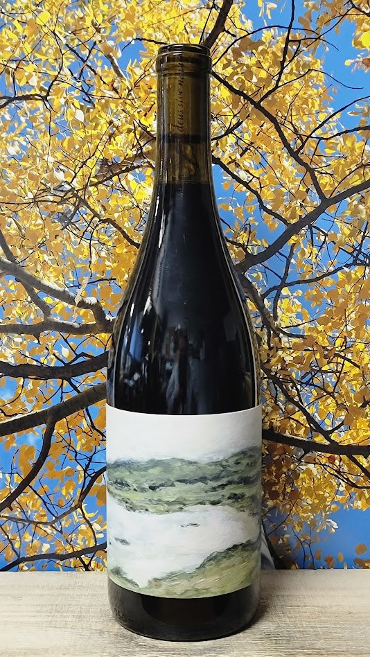Idola wine co vibe du vin grenache valdiguie syrah
