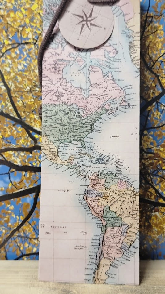 Wine bag - world map