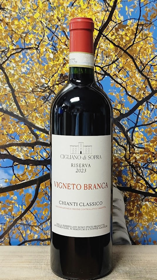 Cigliano di sopra vigneto branca chianti classico
