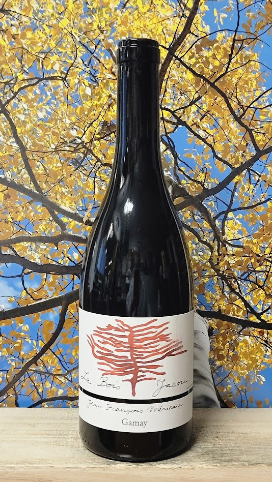 Jean francois merieau gamay bois jacou