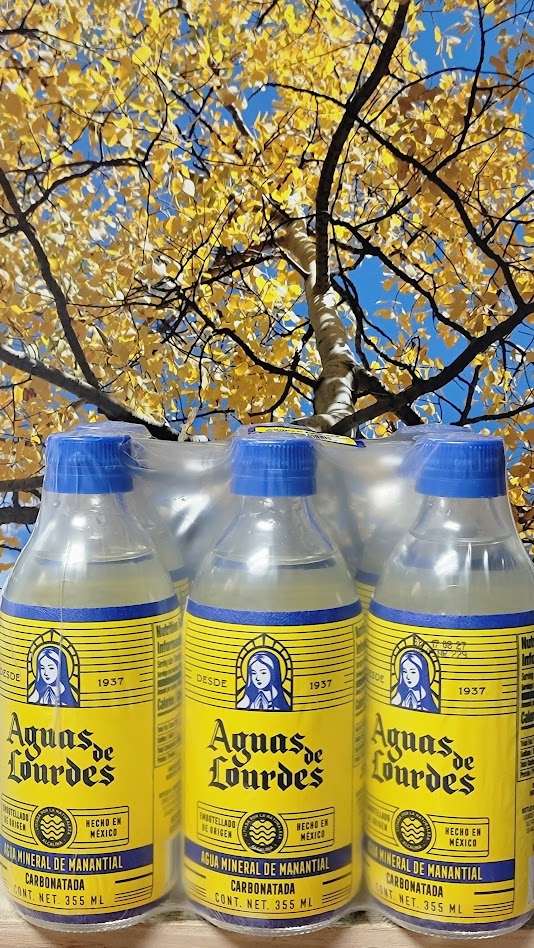 Aguas de lourdes