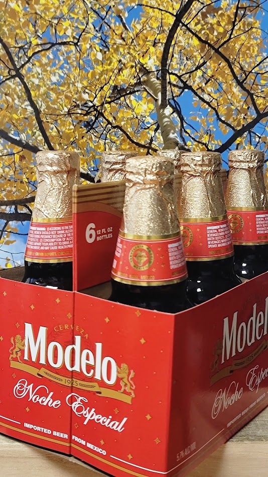 Modelo noche especial