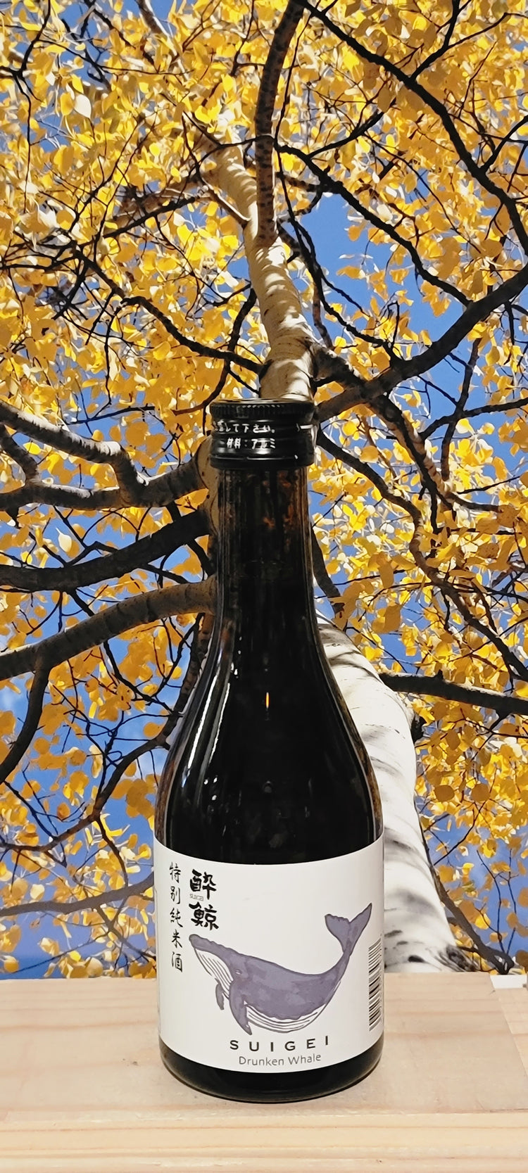 Drunken whale of toku junmai sake