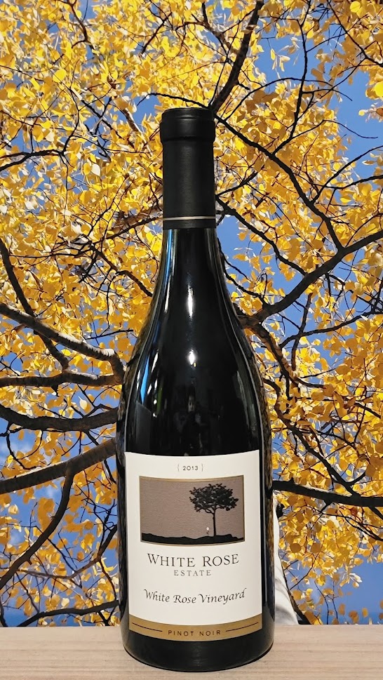 White rose 'white rose' pinot noir