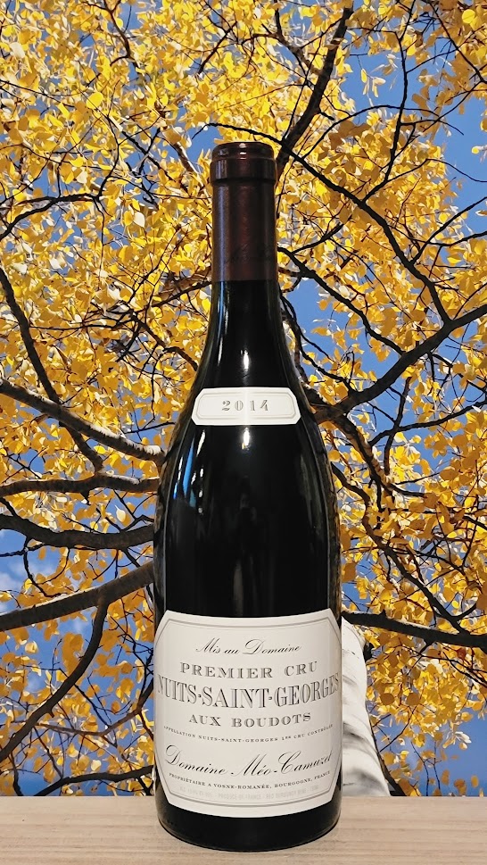 Meo-camuzet nuits st george aux boudots