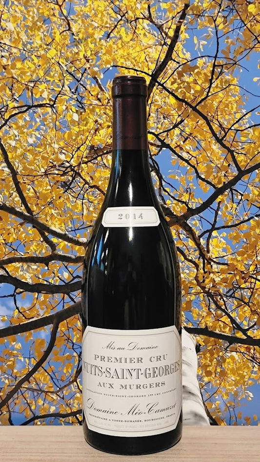 Meo-camuzet nuits st george aux