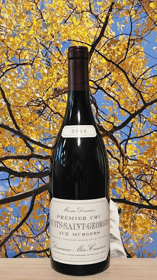 Meo-camuzet nuits st george aux